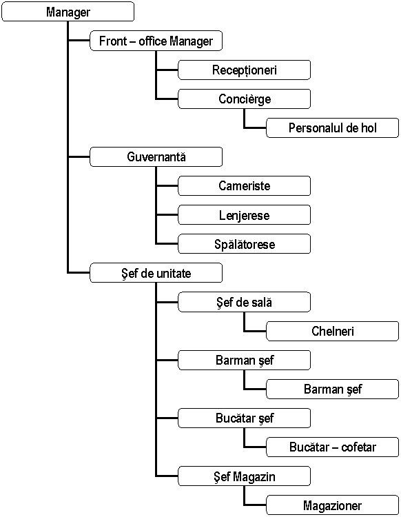 Organization Chart