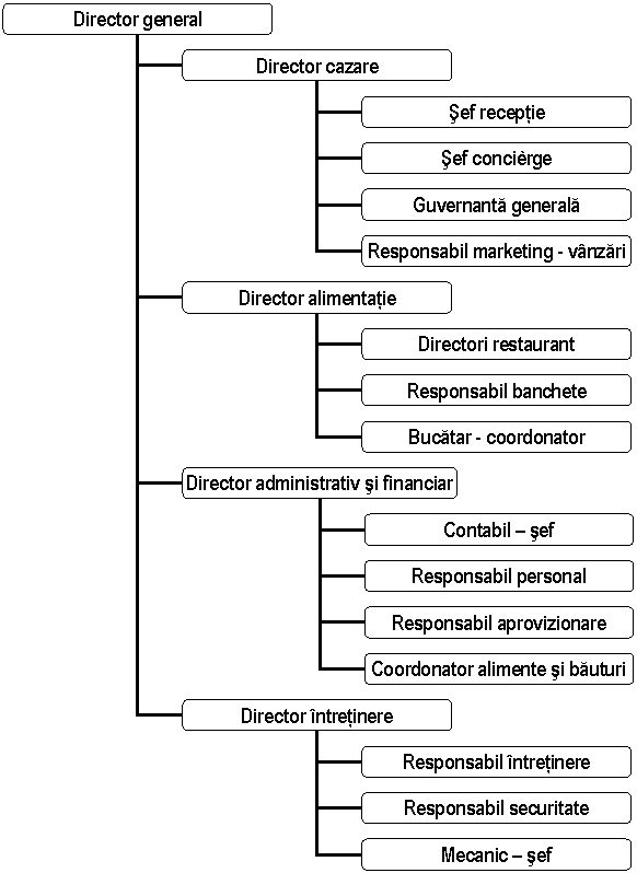 Organization Chart