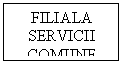 Text Box: FILIALA SERVICII COMUNE