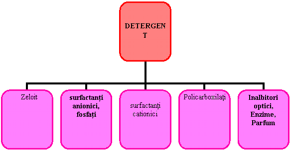 Organization Chart