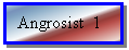 Text Box: Angrosist  1