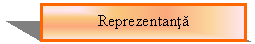 Text Box: Reprezentanta