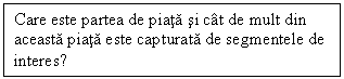 Text Box: Care este partea de piata si cat de mult din aceasta piata este capturata de segmentele de interes?