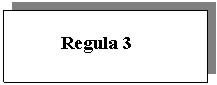 Text Box:           Regula 3
