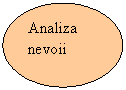 Oval: Analiza nevoii