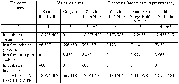 Text Box: Elemente 
de active Valoarea bruta Deprecieri(amortizare si provizioane)
 Sold la
01.01.2006 Cresteri Sold la
12.06.2006 Sold la
01.01.2006 Depreciere inregistrata in 2006 Sold la 31.12.06
0 1 2 3=1+2 4 5 6=4+5
Imobilizari necorporale 18.778.600 0 18.778.600 6.178.783 6.259.534 12.438.317
Instalatii tehnice si masini 96.807 656.650 753.457 2.123 71.181 73.304
Instalatii utilaje si mobilier 0 8.468 8.468 0 3.563 3.563
Imobilizari financiare 600 0 600 0 0 0
TOTAL ACTIVE IMOBILIZATE 18.876.007 665.118 19.541.125 6.180.906 6.334.278 12.515.184
