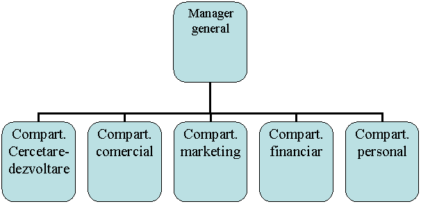 Organization Chart