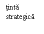 Text Box: tinta
strategica
