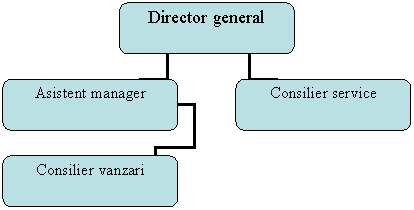 Organization Chart