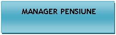 Text Box:  MANAGER PENSIUNE





                
