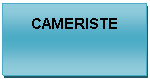 Text Box: CAMERISTE




                
