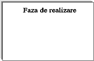 Faza de realizare