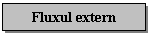 Text Box: Fluxul extern
