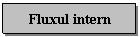 Text Box: Fluxul intern