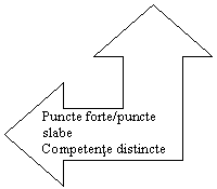 Left-Up Arrow: Puncte forte/puncte slabe
Competente distincte
