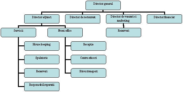 Organization Chart