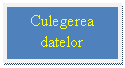 Text Box: Culegerea datelor 