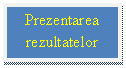 Text Box: Prezentarea rezultatelor   