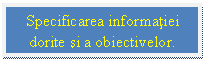 Text Box: Specificarea informatiei  dorite si a obiectivelor. cercetarii