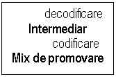 Text Box:            decodificare
Intermediar
               codificare
Mix de promovare

