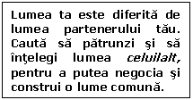 Text Box: Lumea ta este diferita de lumea partenerului tau. Cauta sa patrunzi si sa intelegi lumea celuilalt, pentru a putea negocia si construi o lume comuna.