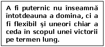 Text Box: A fi puternic nu inseamna intotdeauna a domina, ci a fi flexibil si uneori chiar a ceda in scopul unei victorii pe termen lung.