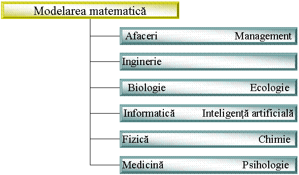 Organization Chart