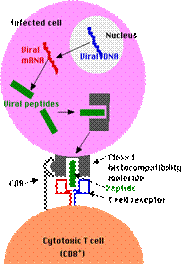 ClassIpath