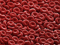 Celulele rosii (hematiile)
