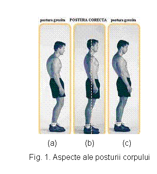 Text Box: 
(a) (b) (c)
Fig. 1. Aspecte ale posturii corpului

