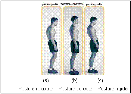 Text Box: 
(a) (b) (c)
Postura relaxata Postura corecta Postura rigida
Fig. 1. Aspecte ale posturii corpului
