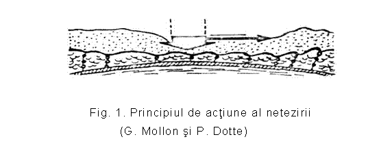 Text Box: 
Fig. 1. Principiul de actiune al netezirii
(G. Mollon si P. Dotte)
