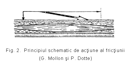 Text Box: 
Fig. 2. Principiul schematic de actiune al frictiunii
(G. Mollon si P. Dotte)
