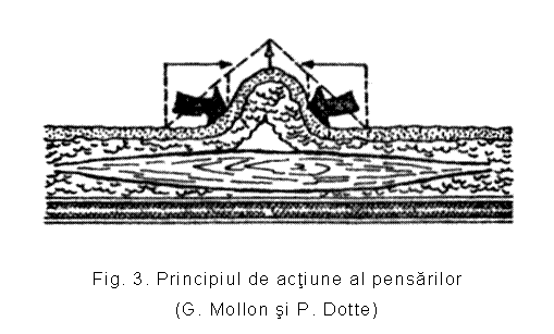 Text Box: 
Fig. 3. Principiul de actiune al pensarilor
(G. Mollon si P. Dotte)
