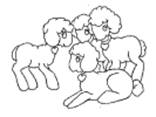 lambs coloring book pages