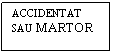 Text Box: ACCIDENTAT
SAU MARTOR


