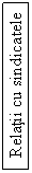 Text Box: Relatii cu sindicatele