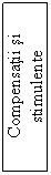 Text Box: Compensatii si stimulente