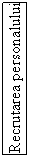Text Box: Recrutarea personalului