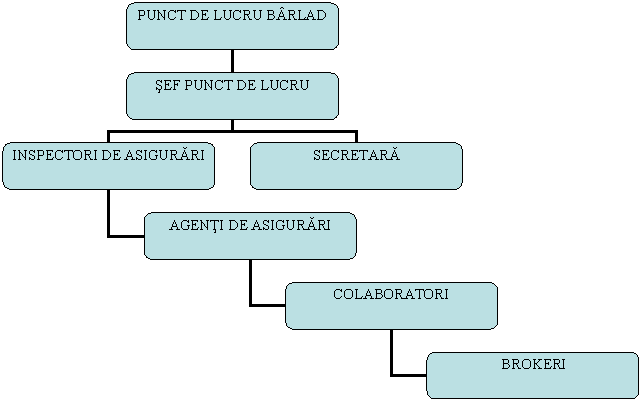 Organization Chart