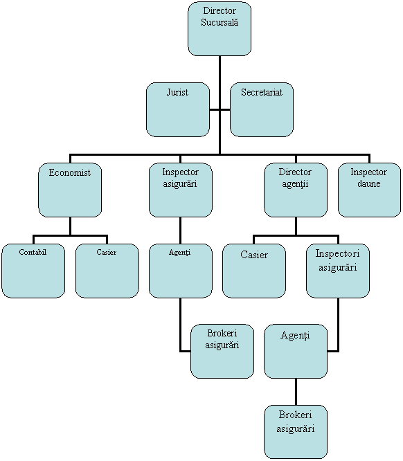 Organization Chart