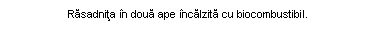 Text Box: Rasadnita in doua ape incalzita cu biocombustibil.