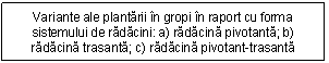 Text Box: Variante ale plantarii in gropi in raport cu forma sistemului de radacini: a) radacina pivotanta; b) radacina trasanta; c) radacina pivotant-trasanta