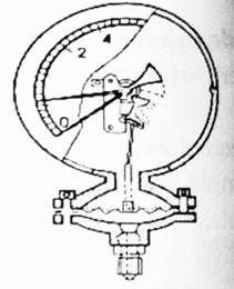 C:Documents and SettingsioanaDesktopUntitled-5.JPG