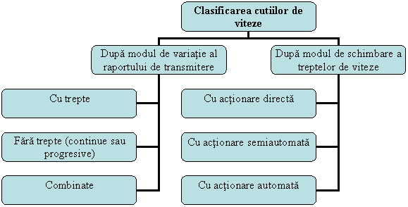 Organization Chart