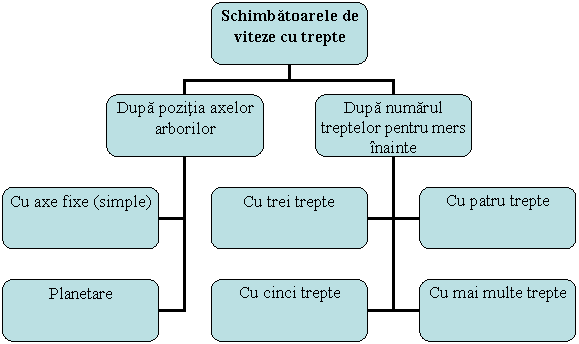 Organization Chart