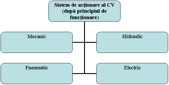 Organization Chart