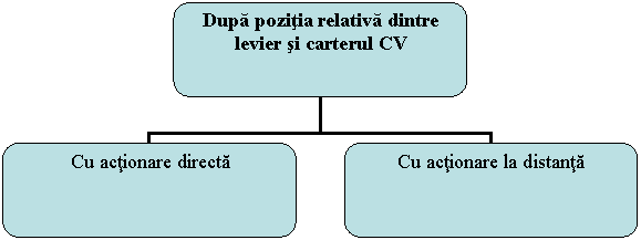 Organization Chart