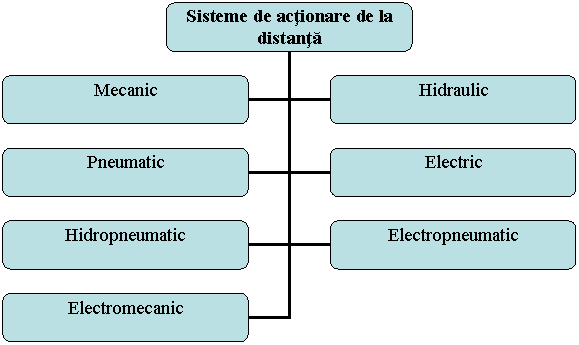 Organization Chart