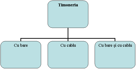 Organization Chart